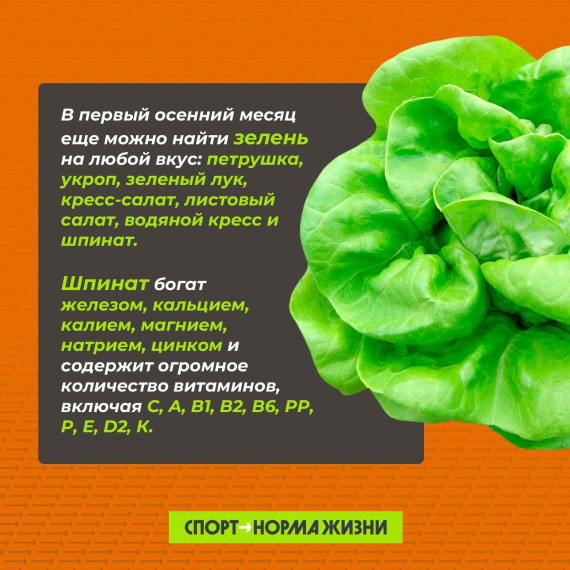 Профилактическая беседа «Поговорим о витаминах».