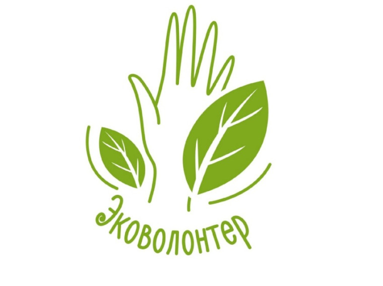 Эколоволонтёры.